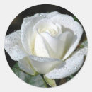 Recherche de papier mache autocollants Rose