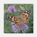 Recherche de de papillon de monarque refrigérateur magnets Nature