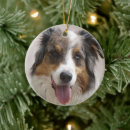 Recherche de aussies ornements Dog