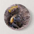 Recherche de abeille badges Épingle