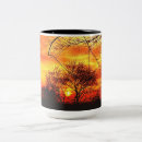 Recherche de nature tasses Coucher de soleil