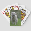 Recherche de poils photographie Golden retriever