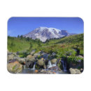 Recherche de rain magnets Paysage