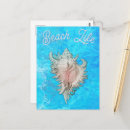 Recherche de coquilles de conque cartes postales Bleu