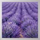 Suche nach digitaler impressionismus poster Natur