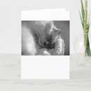 Recherche de le chat noir vœux cartes Noir et blanc