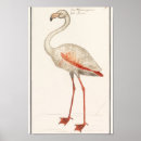 Suche nach vintage flamingo poster Rosa