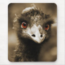 Suche nach strauß mousepads Vögel