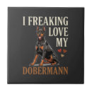 Recherche de dobermann carreaux Pug