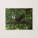 Recherche de kauai puzzles Tropical