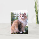 Recherche de cheveux longs vœux cartes Animaux domestiques