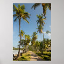 Suche nach tropische bäume poster Sommerlich