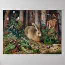 Recherche de lièvre art Forêt