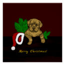 Suche nach xmas poster Hund