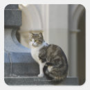 Suche nach argentina aufkleber Im freien