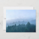 Suche nach waldlandschaft postkarten Bäume