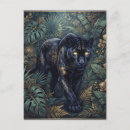 Recherche de panthere cartes postales Jungle