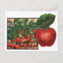 Suche nach vintage pflanzen postkarten Obst