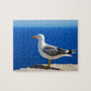 Recherche de mouette puzzles Plage