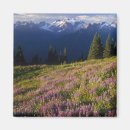 Recherche de alpin magnets Couleur