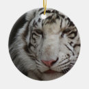 Suche nach weißer tiger ornamente Tier