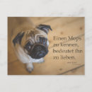 Suche nach möpse postkarten Hund