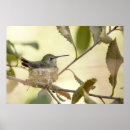 Suche nach nester poster Kirche