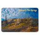 Recherche de palette magnets Nature
