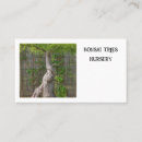 Recherche de bonsaï cartes visite Arbre