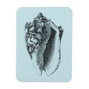 Recherche de coquilles magnets Nature