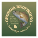 Recherche de la géorgie posters Pêche