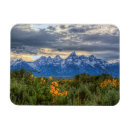 Recherche de neige couverte magnets Nature