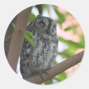 Suche nach afrikanischer vogel aufkleber Tier