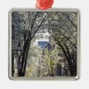 Recherche de boston ornements Arbre