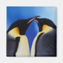 Suche nach pinguine magnete Tier