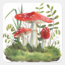 Suche nach roter pilz aufkleber Pilze