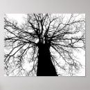 Suche nach schwarzer baum poster Zweige