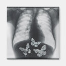 Recherche de conceptuel magnets Papillon