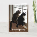 Suche nach katze in einem fenster karten Kitty