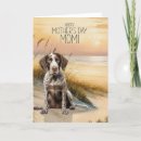 Suche nach deutsch kurzhaar karten Hund