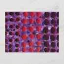 Recherche de fruits rouges cartes postales Rustique