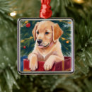 Suche nach golden retriever ornamente Welpe