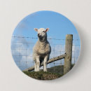 Suche nach niedliches schaf buttons Tiere