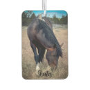 Recherche de chevaux voiture accessoires Cheval