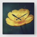 Recherche de pelouse horloges Nature