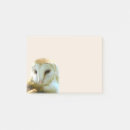 Suche nach schleiereule poster Wild lebende tiere