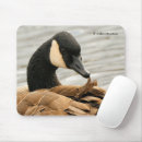 Suche nach kanada gänse mousepads Kanadengas