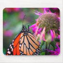 Suche nach orange schmetterling elektronik zubehör Fotografie