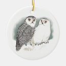 Suche nach vintage eule ornamente Vögel