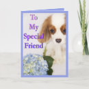 Suche nach spanier karten Cavalier king charles spaniel